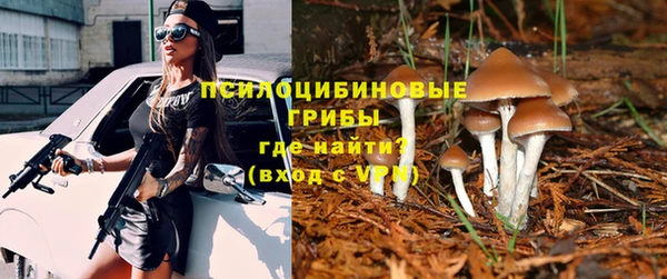 соль курить ск Алзамай