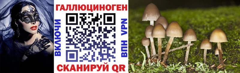 Галлюциногенные грибы Psilocybe  Бахчисарай 